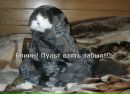 №30 Инна Пластинина : профиль, фото, статус - ВКонтакте