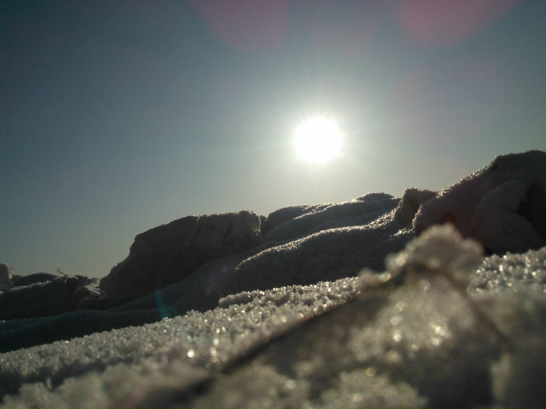 Алексей Алексеев --=EVERYBODY LIES=-- | Санкт-Петербург