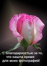 №3 Ирина Шадрина 22.02.1993: профиль, фото, статус - ВКонтакте №3 Ирина Шадрина 22.02.1993: профиль, фото, статус - ВКонтакте