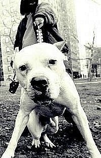 Кирилл Богданович RammsteiH | Санкт-Петербург