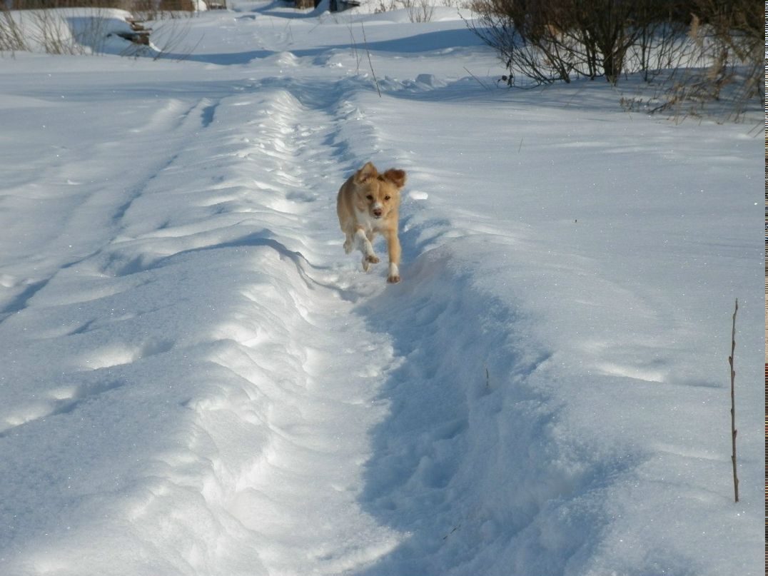 Roma Melnichuk | Нижний Новгород