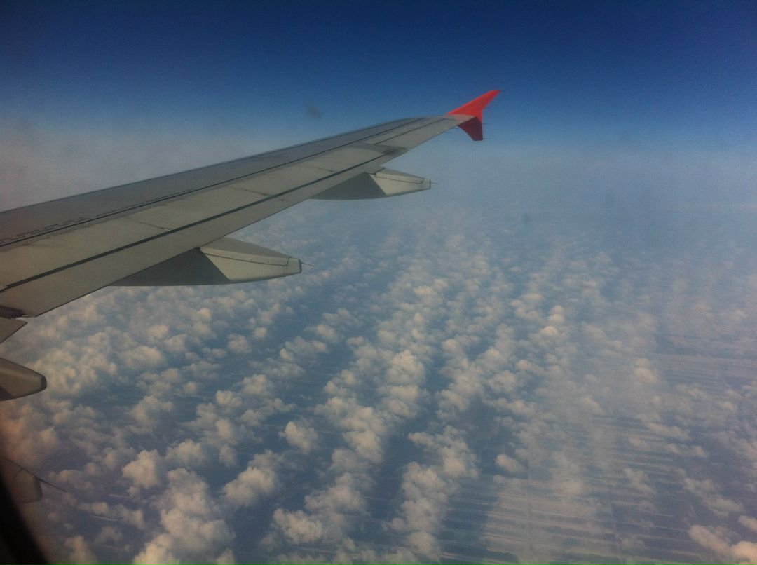 Антон Береговенко | Королёв