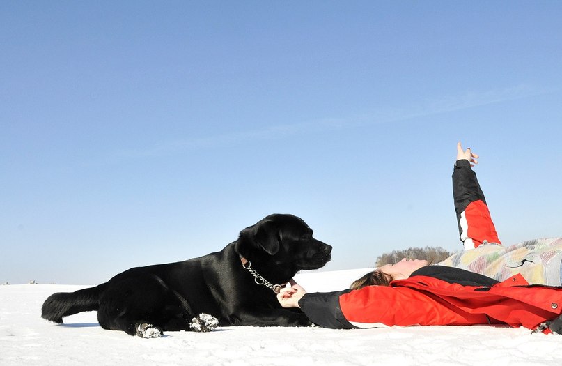 Ника Агейко | Минск