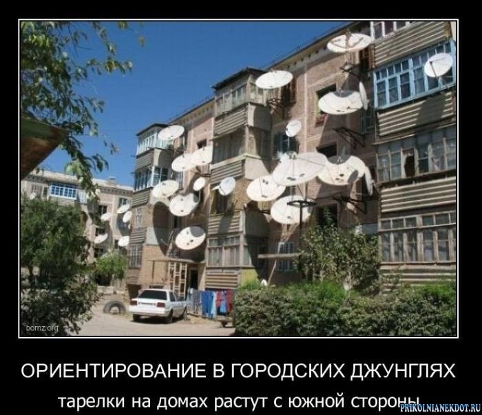 Юля Колисниченко | Южное