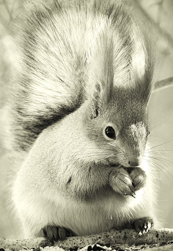 Таня Яковлева | Санкт-Петербург