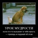 Фотография Алена Булатова