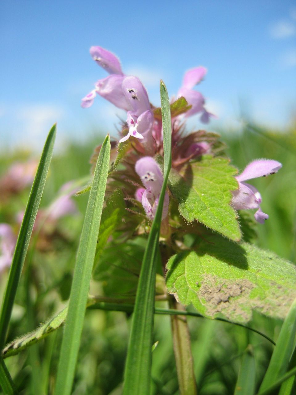 Виталия Ильичёва | Донецк