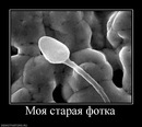 №3 Вячеслав Бабанов