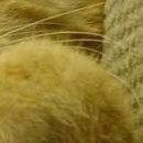 №54, Александр Нетипанов, 46 лет, Санкт-Петербург №54, Александр Нетипанов, 46 лет, Санкт-Петербург