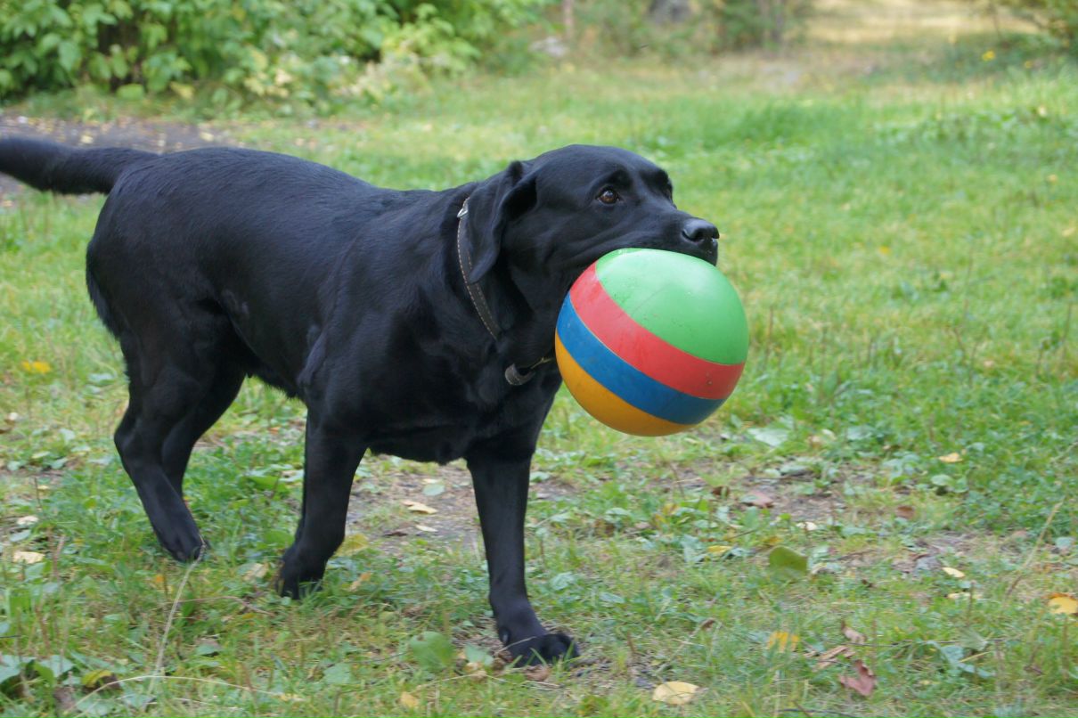 Юлия Попова | Екатеринбург