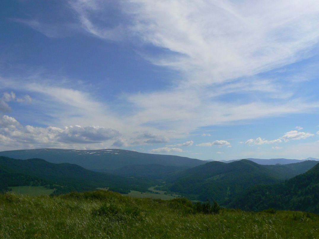 Вячеслав Рощин | 