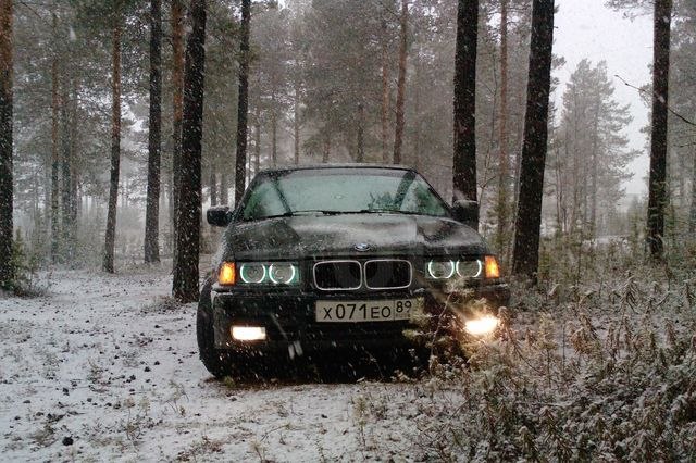 Александр Ульянов 