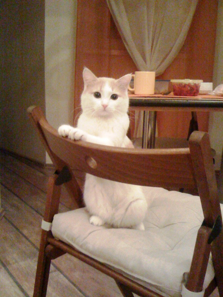 Майя Матисова ツemerald butterflyツ | Уфа