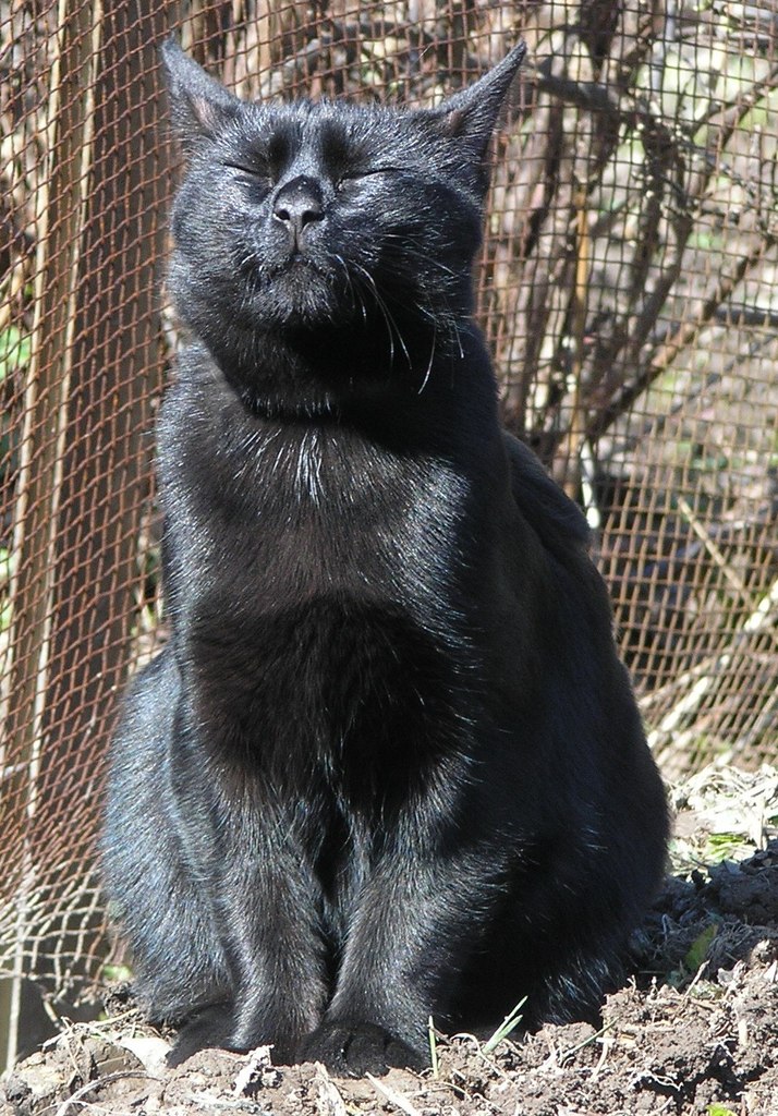 Надежда Кленова | Санкт-Петербург