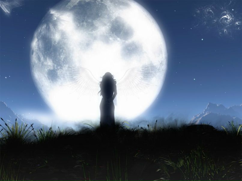 Евгения Захарова | Харьков