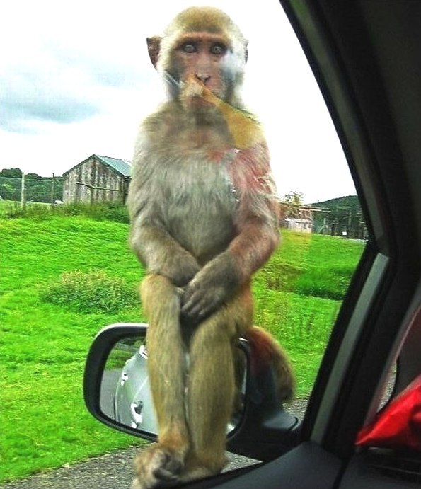 Вероника Рудакова | 