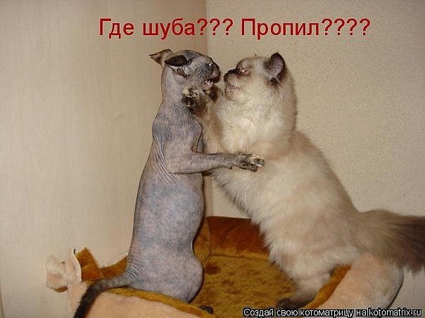 Виталик Шейко | 