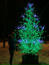 Фотография Женечка Половинкина