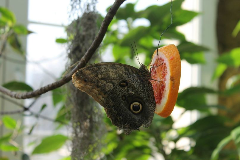 Наталья Гудошникова | Калининград