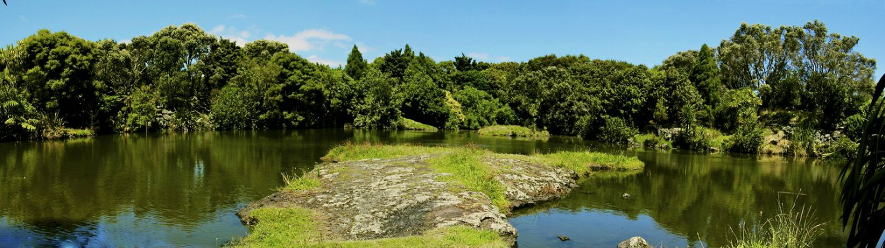 Игорь Ревенко | 