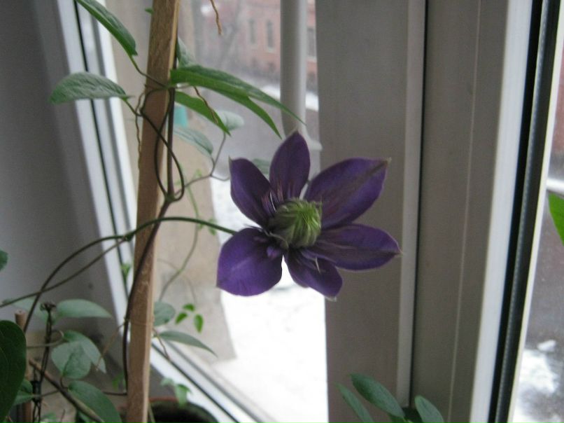 Людмила Родионова | Санкт-Петербург