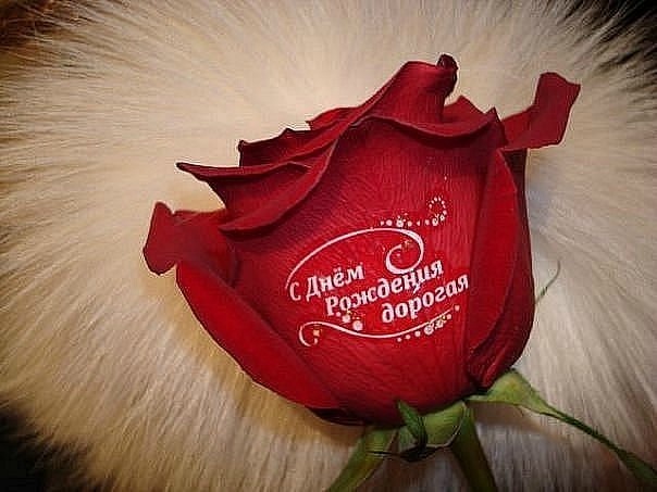 №110, Елена Прекрасная, 99 лет, Санкт-Петербург №110, Елена Прекрасная, 99 лет, Санкт-Петербург