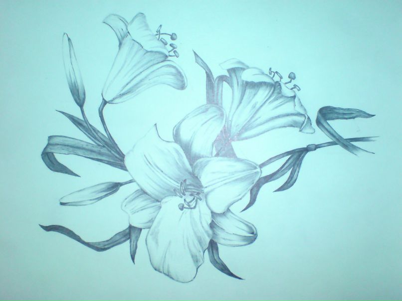 Елена Синякова | Смоленск