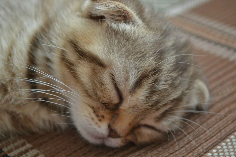 Любовь Кислянских | Воронеж