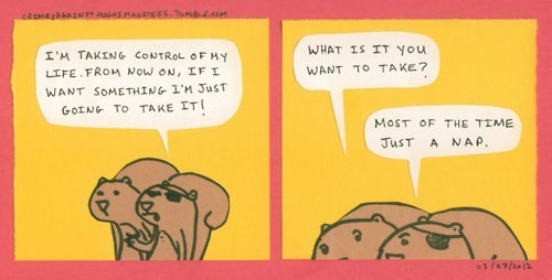 Ирина Беляева | Bologna