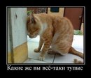 №15 Вениамин Черников