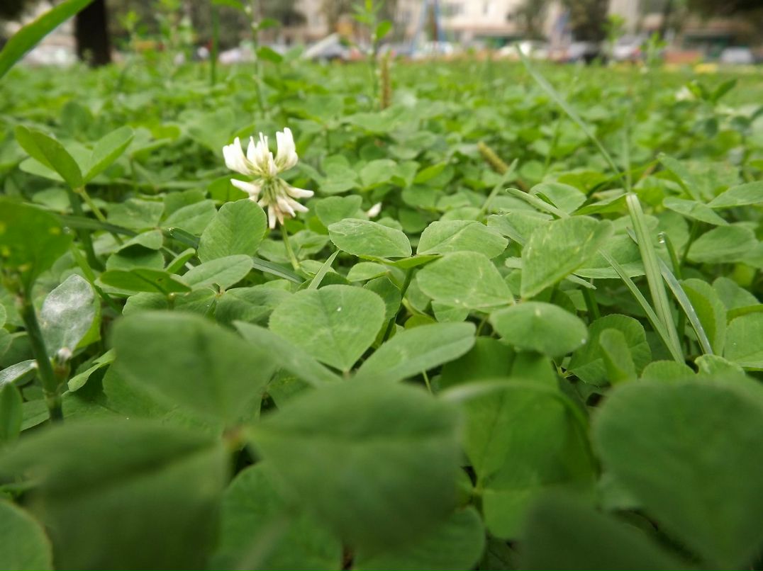 Иван Сергеев | Москва