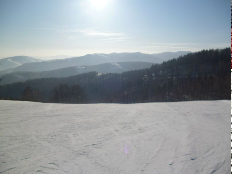 Никита Соломатин FOX | Екатеринбург