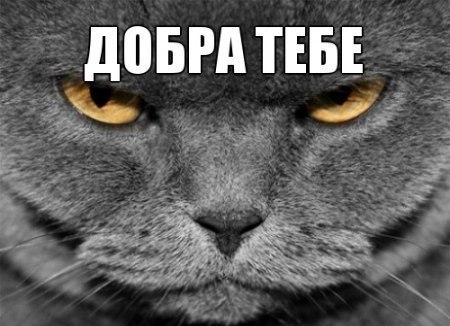 Слава Кухтерин | Сургут