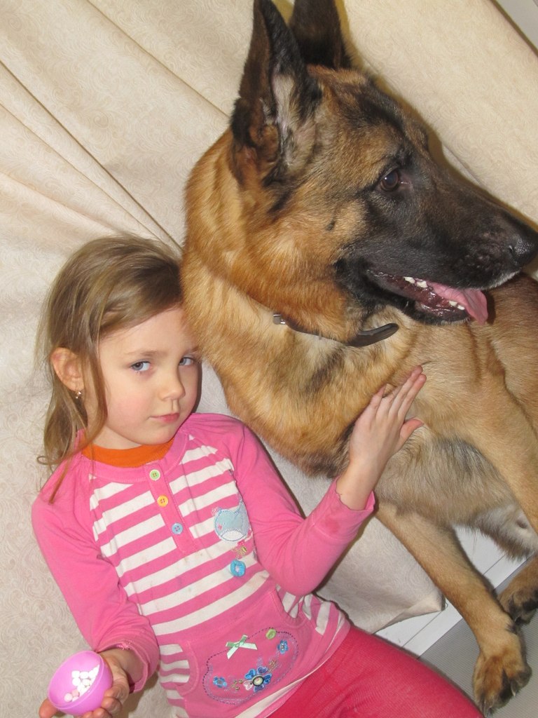 Екатерина Шевцова | Простоквашино