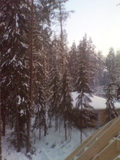 Русик Даниленко | 