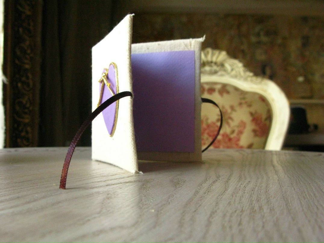 Ксения Циголик | Херсон