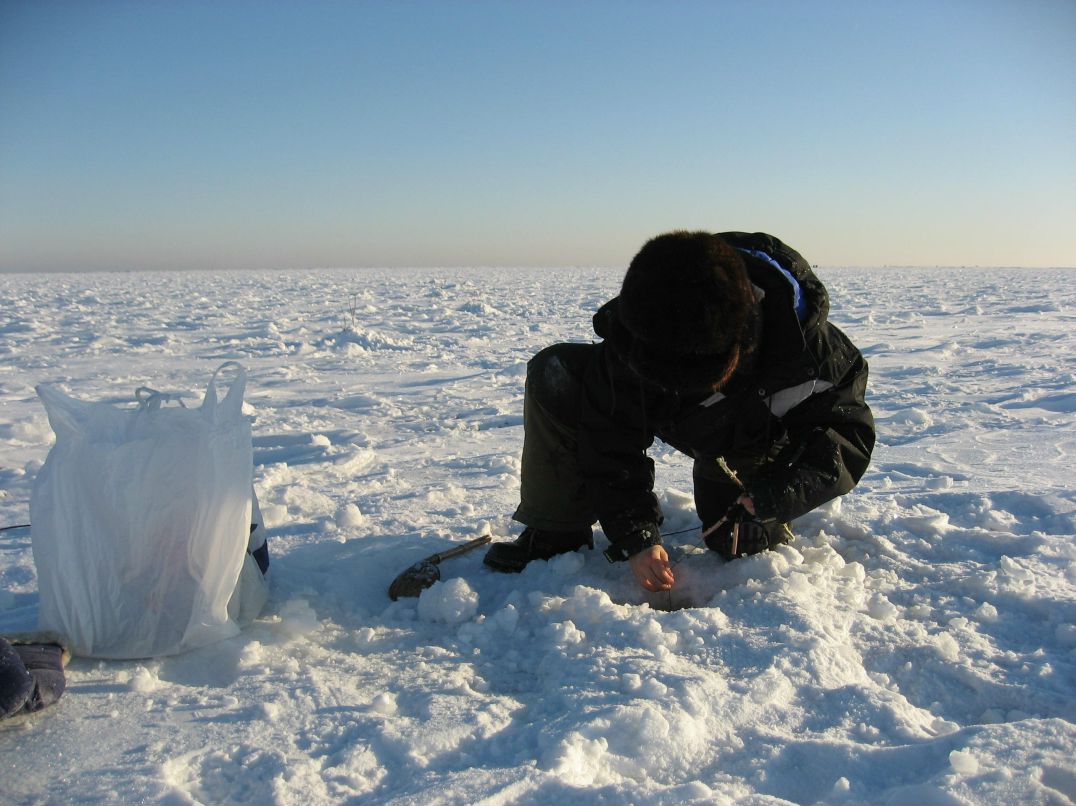 Владимир Павлов | 