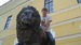 Антон Аброськин фотография #6 (источник - https://vk.com/id75451339)