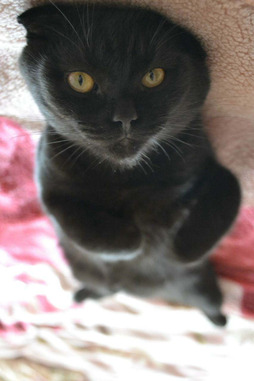 Анастасия Поспешная | Екатеринбург