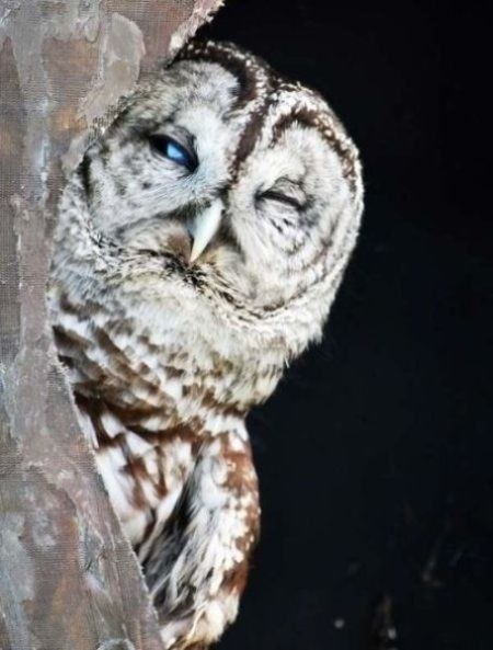 №60, Юрий Пашков, Волгоград №60, Юрий Пашков, Волгоград