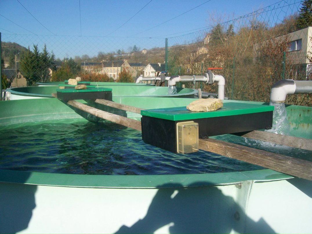 Роман Суховецький | Киев