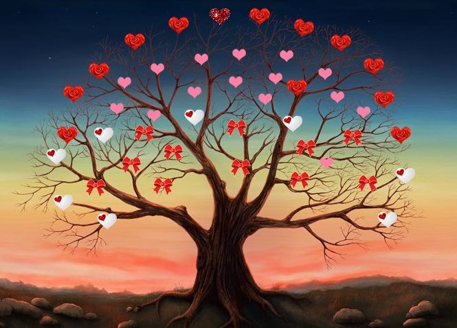 Tatyana Safarova | Москва