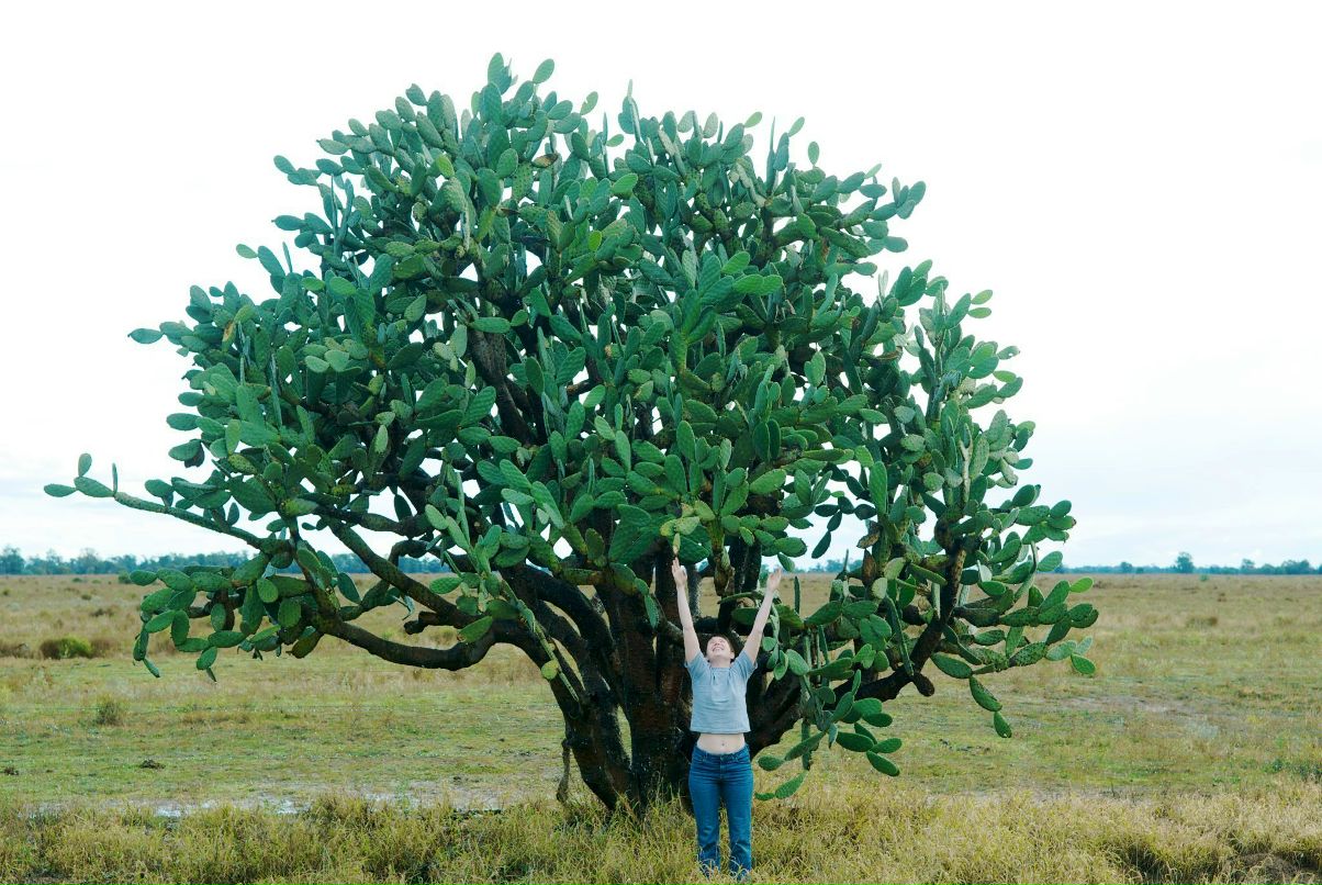 Дрю Святицкий | Melbourne