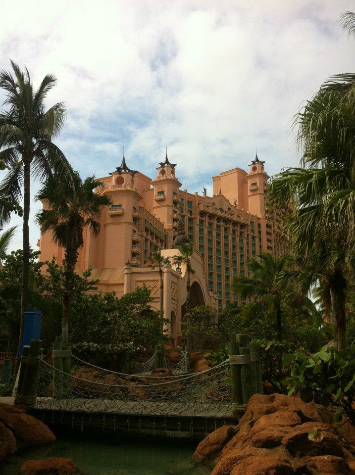 Олег Дмитриев | 