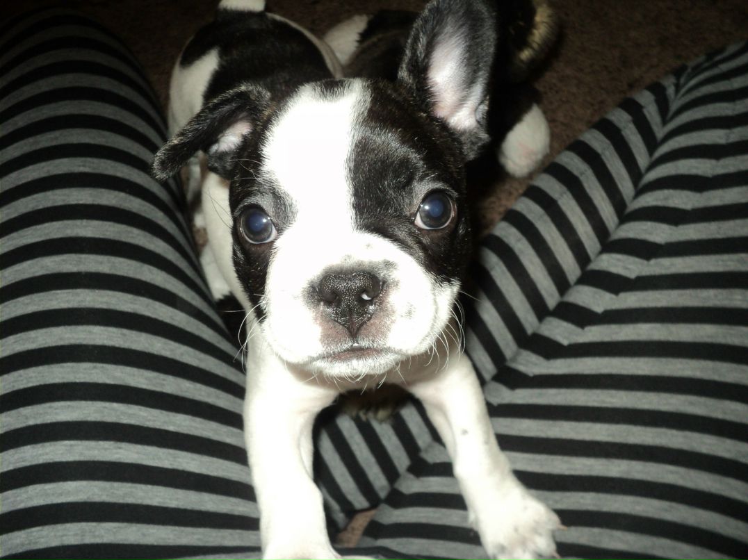 Дарья Чайчук | Мурманск