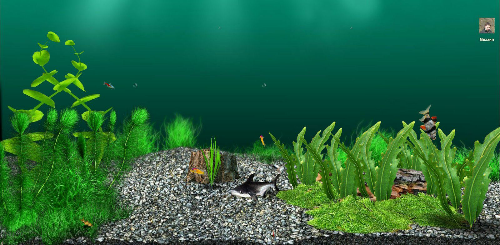 Наталья Мишина | Москва