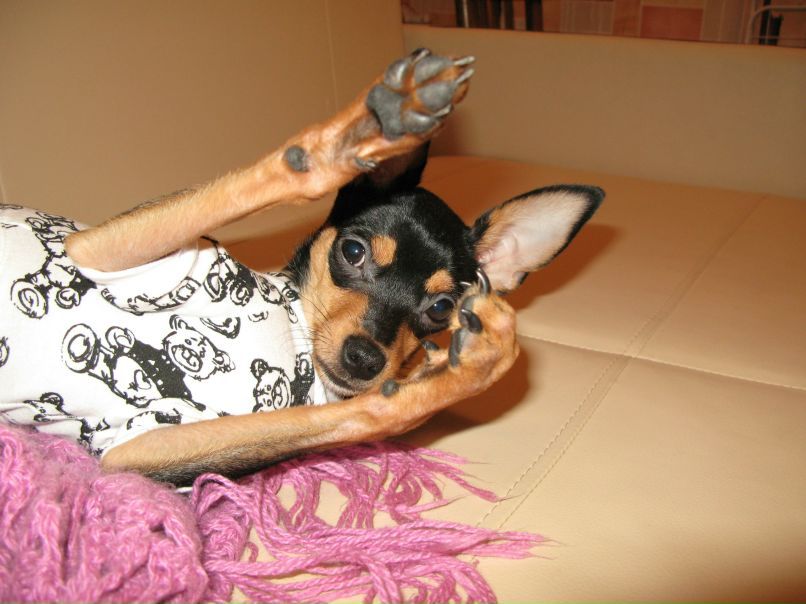 Таисия Певчих | 