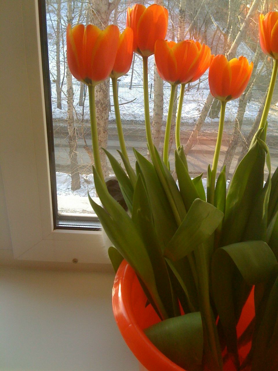 Евгений Мыслик | Омск