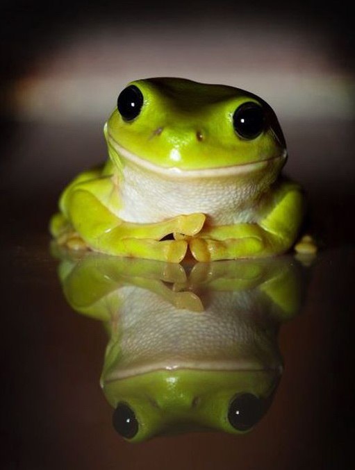 Сергей Лешонков | Саратов