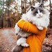 Михаил Орлов фотография #43 (источник - https://vk.com/id77596623)